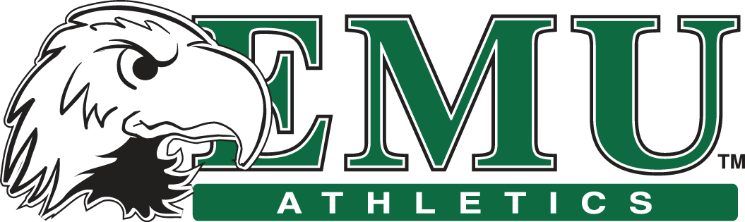 Eastern Michigan Eagles 2003-2012 Alternate Logo v2 diy iron on heat transfer